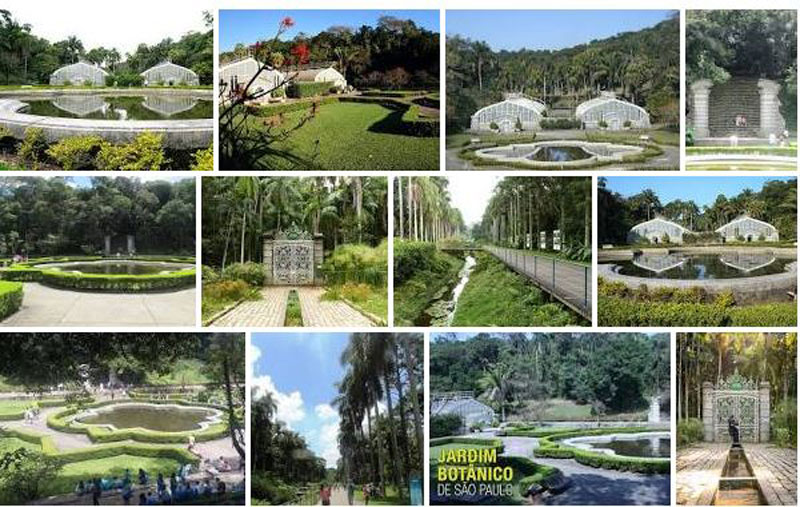 Jardim Botânico de São Paulo Fotos Jardim Botânico de São Paulo Fotos