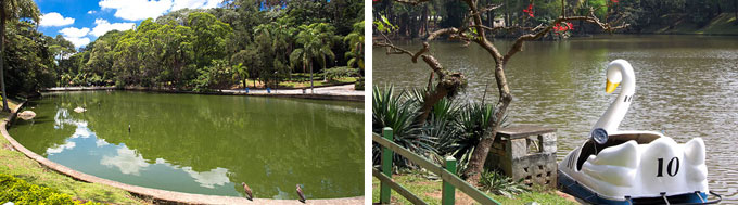 Horto Florestal SP